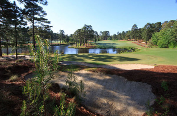 Forest Creek Golf Club – South Forest Creek Golf Club – South