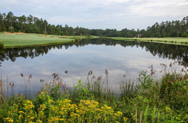 Forest Creek Golf Club – North Forest Creek Golf Club – North