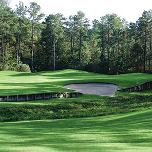 Holly Course at Pinewild Country Club.