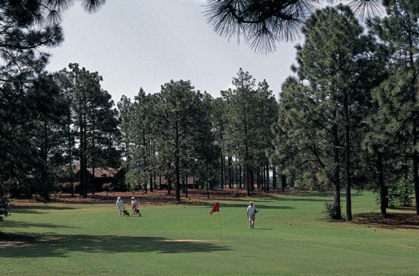 Knollwood Fairways & Driving Range Knollwood Fairways & Driving Range