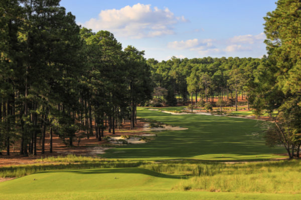 Tobacco Road Golf Packages