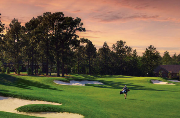 Pinehurst No. 6 Pinehurst No. 6