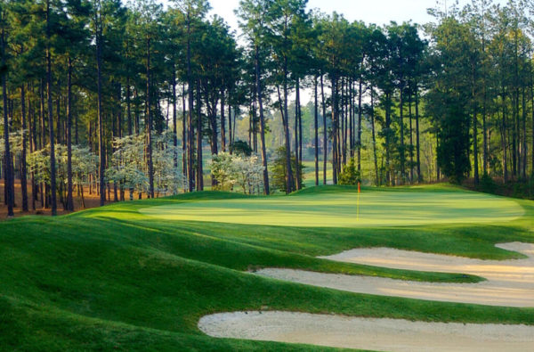Pinehurst No. 7 Pinehurst No. 7