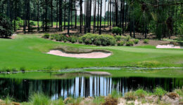 Forest Creek Golf Club – South Course