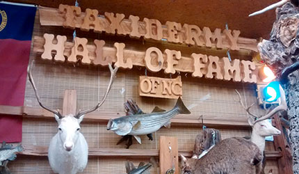 NC Taxidermy Hall of Fame
