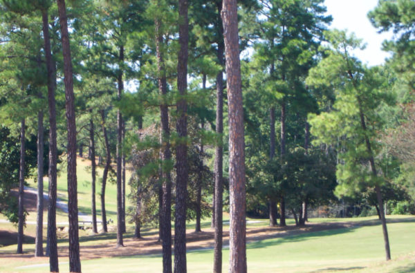 Whispering Woods Golf Club Whispering Woods Golf Club