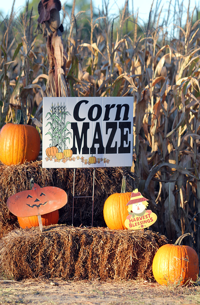 cornmazemoorecountync Home of Golf