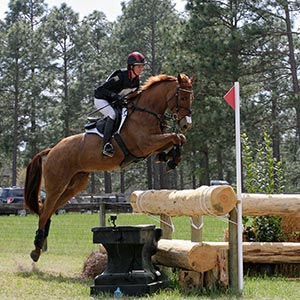 Jumping at Carolina Horse Park.