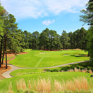 Pine Needles 5th