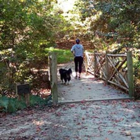 The Village Arboretum walking trail