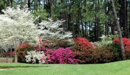 Golf Escapes of the Sandhills Golf Escapes of the Sandhills