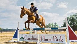 Carolina Horse Park