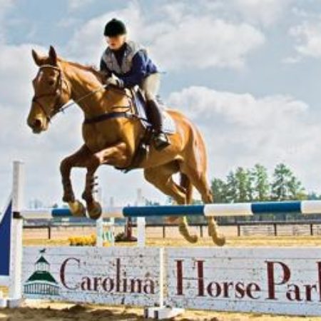 Horse and rider jumping fence.