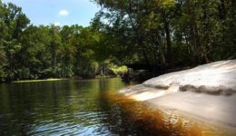 Lumber River State Park Lumber River State Park