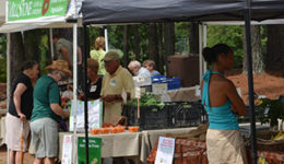 Farmers Market At the Armory Sports Complex