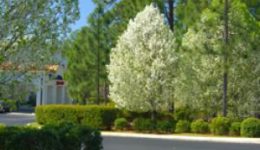 SpringHill Suites by Marriott SpringHill Suites by Marriott
