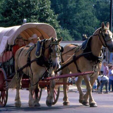 Robbins Farmers Day Wagon Master