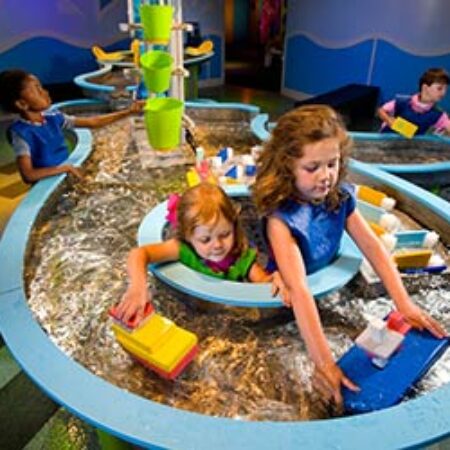 Discovery Place Kids - Rockingham