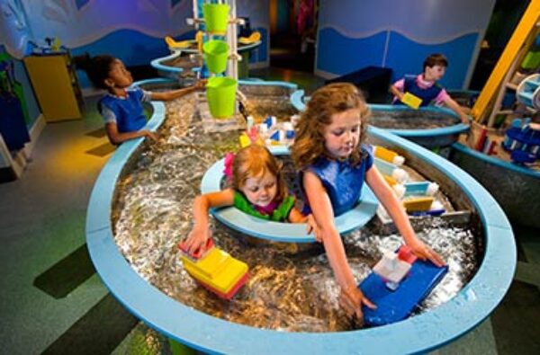 Discovery Place Kids - Rockingham