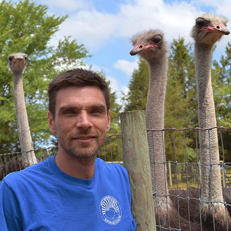 Ryan Olufs with ostriches