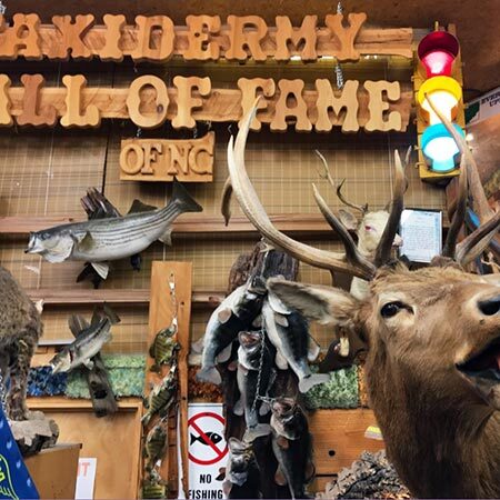 Taxidermy Hall of Fame