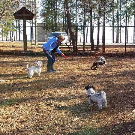 Pooch Park in Southern Pines