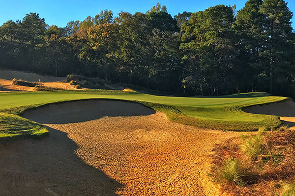 Pine Needles, Mid Pines and Southern Pines Golf Specials