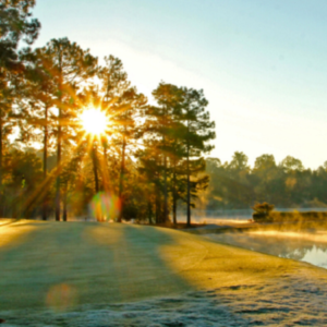 For Golfers Page Header