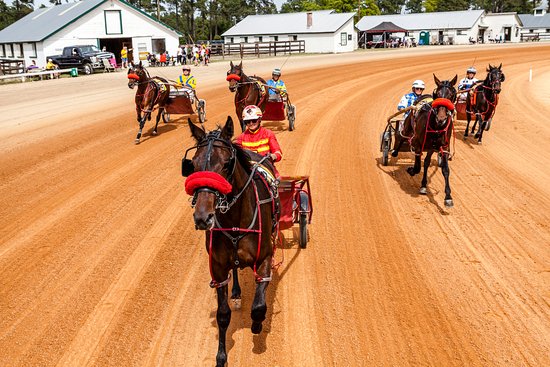 Qualifying Equestrian Race @ The Pinehurst Harness Track