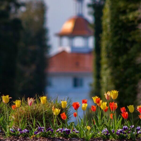 Official Pinehurst NC Tourism site