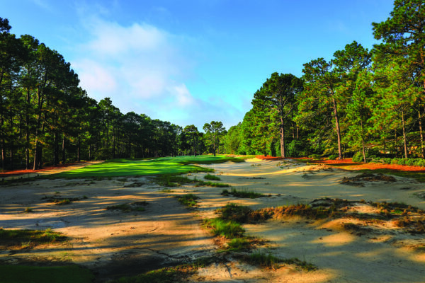 Maples Roots Run Deep in Sandhills Golf Design