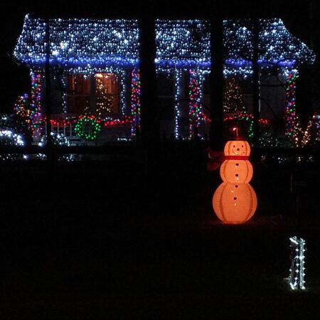 Lights in the Pines