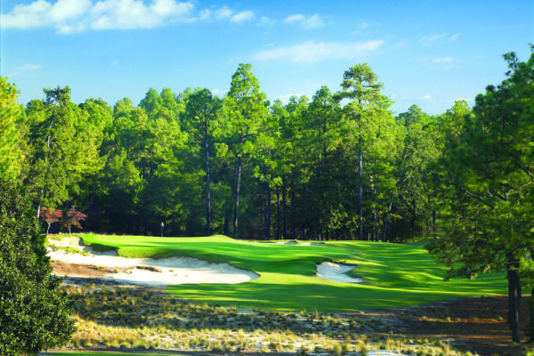 Forest Creek Golf Club – North Course