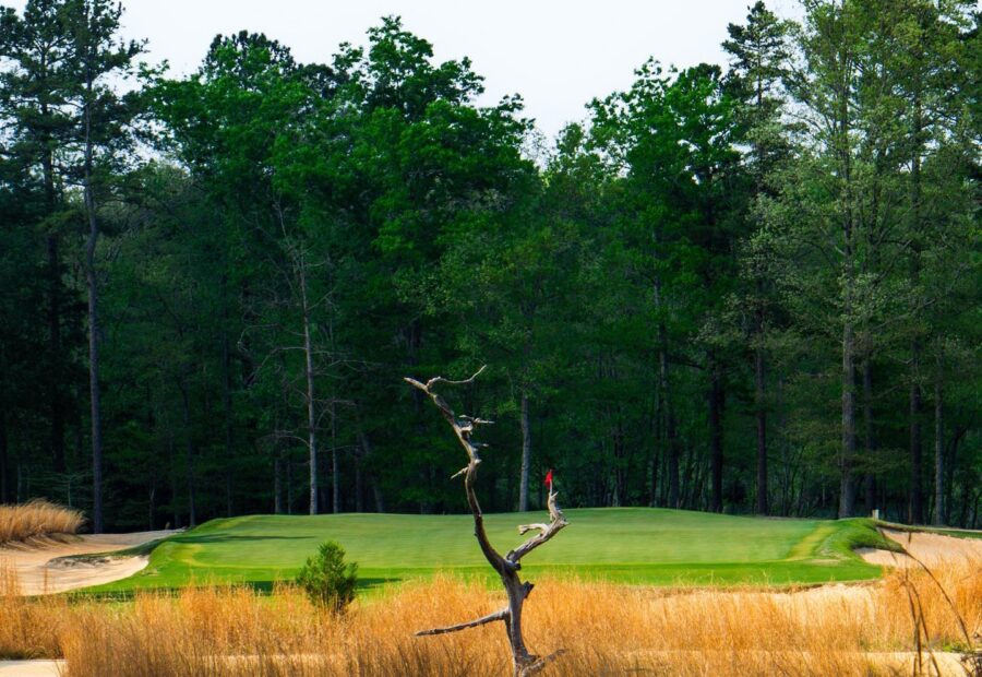 This picture is courtesy of @carolina_pines_golf
